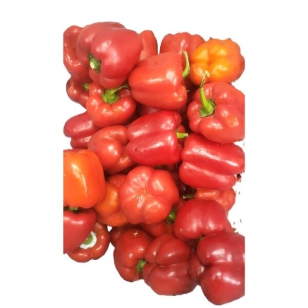 Bell Peppers