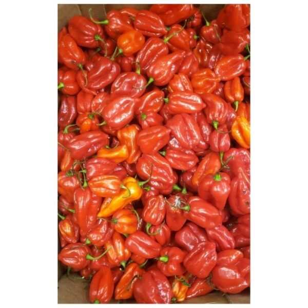 Peppers