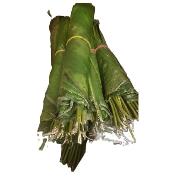 Plantain Leaves