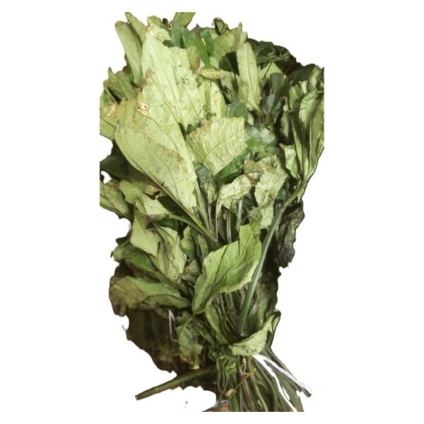 Ugwu Leaves